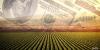 ‘A real farm crisis’: Illinois farm bankruptcies rise for 3rd straight year