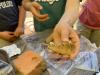 Archaeological researchers at UNH dig into uncomfortable history near historic home of New Hampshire’s third governor