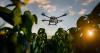 Do agricultural spray drones actually pay off?