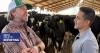 Rewards, challenges and family history: A look inside Arizona's dairy industry
