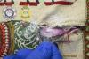 Thai Airways Flight Attendant Caught Smuggling 1kg Of Heroin Into Australia
