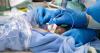 Taipei Zoo welcomes rare orangutan twins delivered by cesarean section