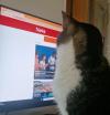 European workers want pet-friendly offices