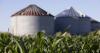 Will tomorrow’s USDA reports shock the market?