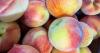 Michigan peach crop varies widely after winter cold and spring frost damage