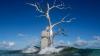 Solomon Siren: This sinking sculpture tells the story of an island lost to sea-level rise