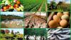 Agribusiness institute unveils professional certifications to strengthen farm, food security