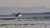 Military searching for US Marine who went missing during California training exercise