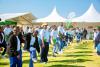 Why Wellness Day is crucial in the fight against NCDs
