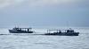 Virginia fishermen fight 20 mph winds to free a 700-pound leatherback from crab pot ropes