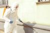 Rats Reported at Turkmen Presidential Residence Near Ashgabat