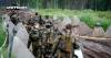Top NATO Commanders Demand Urgent Overhaul to Counter Russian Threat