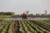 Adani Group Expands into Organic Fertilizer Business