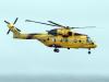 Four rescued, six still missing after charter boat sinks off Richmond British Columbia