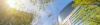 Belgium’s regional airports and skeyes join forces to boost sustainable operations