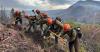 3 Firefighters Killed While Battling Fast-Moving Wildfires Near Colorado-Utah Border