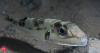 Greece has placed a bounty on the head of the world's most toxic pufferfish, paying fishermen €5.33 per kilo to hunt the invasive predator