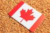 Cereals Canada elects new board chair, members