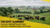 Summer outlook favors more rain than relentless heat, Hunt says