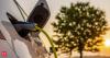 Delhi EV Policy 2.0 offers subsidies of up to Rs 50,000 on electric two- and three-wheelers