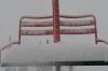 Late-June Snowstorm Brings Fresh Powder to Montana Mountains