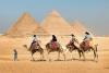 Egypt to phase out camel and horse rides at the Pyramids of Giza in major ethical tourism shift