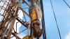 Lion Energy gains Indonesia’s approval for East Seram PSC farmout