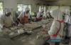 Business : Govt Implements 23 HIMP 2030 Initiatives To Cut Halal Ingredient Imports - MITI