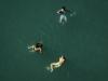 Several Swiss records broken for heatwave duration