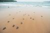 São Tomé declares first two of eight planned marine protected areas