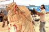 Misfit logs fulfill potential as chainsaw art