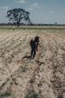 Agriculture as the Foundation of Post-War Reconstruction in Sudan