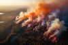 Wildfires in France and Spain: the EPP calls for a European prevention plan and the strengthening of RescEU