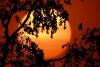Environment Canada: Three days of heat warnings expected as temps spike