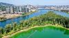 Researchers have a solution for Willamette River algal bloom