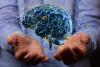 Researchers affirm long-held belief that viruses can trigger Parkinson’s disease