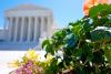 SCOTUS rules states can count late-arriving mailed ballots in case from Mississippi