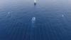 TGS Gets Exclusive Rights for Seismic Survey Offshore Brunei