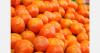 Chilean citrus exports are expected to increase by 6%