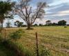 Agriculture groups say call for more farm support is warranted