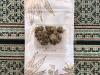 TribeTokes’ Jealousy THCA Flower Review: Weed From the Web (Worth Buying?)