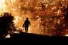 Colorado wildfire claims lives of three firefighters, two critically injured