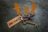 Tamika Maxwell: Florida is gutting kids’ access to pediatric care. It must act now to fix it.