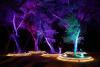 Descanso Gardens adds flexible tickets for holiday attractions