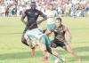 Lifeline for Cranes: Tournament postponement keeps Sevens Dream alive