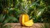 Costa Rican pineapples generate more than 150,000 jobs and contribute 6% of exports.