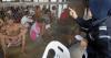 465 deaths in immigration depots over 5 years, including 12 children