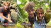 At 22, this man spent his $45k life savings on Colombia jungle land to protect endangered monkeys