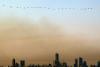 World Bank drops climate finance targets in renewed action plan