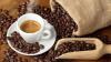 Cameroonian Coffee Wins New Route Into Europe Through Spanish Partnership